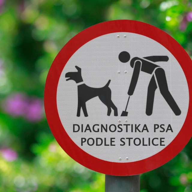 Diagnostika psa podle stolice